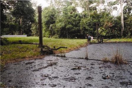 Oil Waste Pond Yasuni Amazon