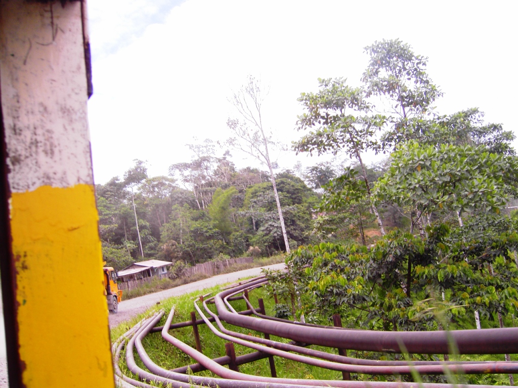 Oil Pipelines Along Roads Yasuni Amazon