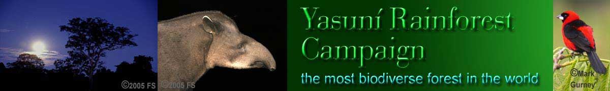 Yasuni Rainforest Tapir Masked Crimson Tanager
